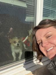 Dogs damaging screens and doors