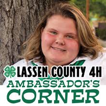 Lassen County 4H Ambassador's Corner