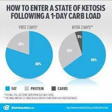 Pie Charts Paleo Diet Keto Bodybuilding Ketosis