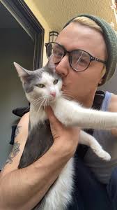 Lost orange and white cat near highway?