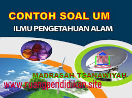 Contoh soal ujian mandiri usu revisi sekolah Soal Tes Masuk Umm Ips Jawabanku Id