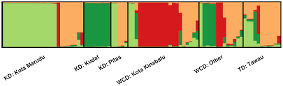In 1950, the population of kota kinabalu was 15,487. Plasmodium Vivax Population Structure And Transmission Dynamics In Sabah Malaysia