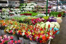 Portland Or Flower Market Spellboundflowers Com Flower Market Fresh Flower Market Flower Mart