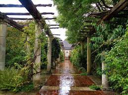 Hill Garden And Pergola Hampstead Heath London Garden On A Hill Hampstead Pergola