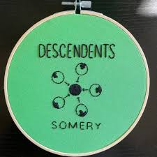 Descendents 'somery' Album Cover Embroidery FREE SHIPPING punk, Milo  Aukerman, SST Records, Epitaph Records, Silly Girl, I'm Not A Loser