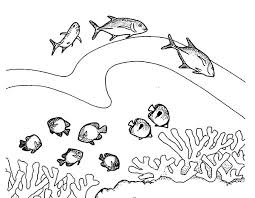 65+ aquarium coloring pages for printing and coloring. Coral Reef Artificial Aquarium Fill With Fish Coloring Pages Kids Play Color