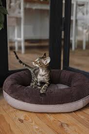 Cat Bed Oval Shaped Cat Bed Oval Cat Bed Brown Cat Bed Etsy In 2020 Cat Bed Stylish Cat Bed Brown Cat