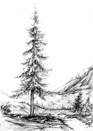 Black And White Pencil Drawings Of Trees Pin By Margret Heyn Art On Drawing Tree Drawings Pencil Landscape Drawings Landscape Pencil Drawings