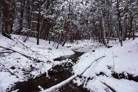 What's the best way to get to barrie ontario? Best Local Walks For The Winter Barrie 360barrie 360