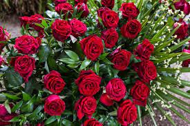 Cudowna basiu, piękna basiu, dużo zdrowia i radości. Zyczenia Imieninowe Dla Barbary Basi Wierszyki Sms Rymowanki Gazeta Pomorska