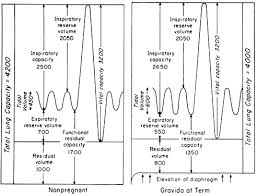 Image result for Functional Residual Capacity