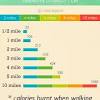 Formula for calories burned walking. 3