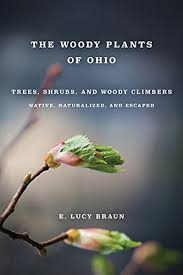 Maybe you would like to learn more about one of these? Woody Plants Of Ohio Trees Shrubs And Woody Climbers Native Braun E Lucy 9780814204979 Amazon Com Books