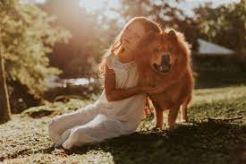 They strengthen this promise by providing a statutory declaration with every pet cremation to ensure peace of mind. Caring Pet Cremation Melbourne Pet Memorial Australia