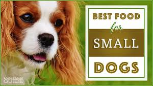 Is homemade food better for dogs with allergies? 10 Best Dog Food For Small Dogs In 2021