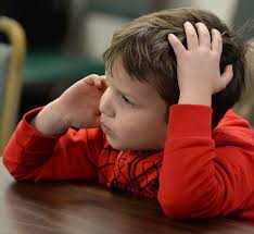 Forestry program teaches children the impact of trees