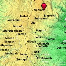 Image result for Ophrestia