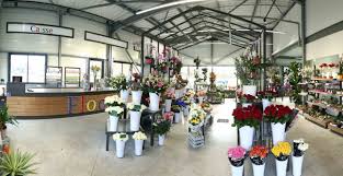 Agencement Fleuriste Fleuriste Jardinerie Pepiniere
