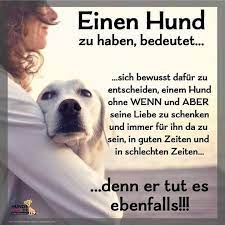 Wenn jemand schon einmal ein liebesgedicht für dich geschrieben hat, dann weißt du, wie unglaublich schön sich das anfühlt. Hunde Hundeliebe Zitate Spruche Tiere Hundespruche Hunde Gedichte