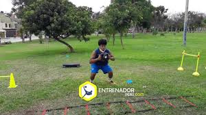 Desempolvas la caja que tenias guardad desde hace algún tiempo y la abres dispuesto a prepara todo lo necesario. Entrenador Peru Juego Organizado Analisis 0001 Facebook