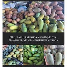 Dalam proses pengolahanya, mangga muda diserut menjadi tipis atau seperti bentuk korek api. Buy Buah Mangga Kuini Buah Mache Buah Krini Pelbagai Jenis Buah Mangga Mangga Lemak Seetracker Malaysia