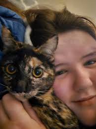 Lost cat in Holiday Hills