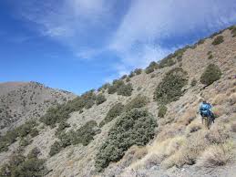 Telescope peak sits 11,049 foot (3,368m) above sea level. Telescope Peak Death Valley National Park U S National Park Service