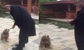 Mustafa Kobul On Twitter 10 Puanlik Uzmanlik Sorusu Kopekler Hiyar Yermi Yerse Sogukmu Yer Ilikmi