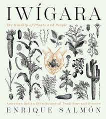 Image result for Englerina inaequilatera