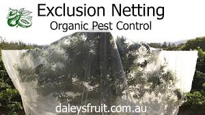 This entails identifying structural deficiencies that allow pest entry, using the appropriate exclusion materials, and installing these pest resistant materials the correct way. Organic Pest Control Exclusion Netting Protect Your Home Grown Fruit Youtube