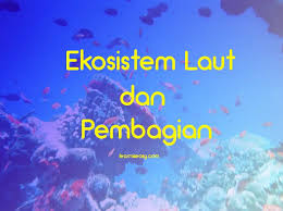 Hal tersebut, disebabkan bumi memiliki. Ekosistem Air Laut Pengertian Ciri Macam Manfaat