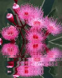 With tenor, maker of gif keyboard, add popular flower animated gifs to your conversations. Flower Animation Gifs Get The Best Gif On Giphy