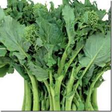 Orecchiette Con Le Cime Di Rapa Italian Language Blog