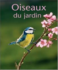R�sultat de recherche d'images pour "image d'oiseau du jardin"