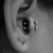 Pin By Amari Evans On Piercings Cool Piercings Ear Piercings Double Tragus Piercing