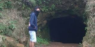 Ini salah satu jalur yang memang biasa di lewati oleh para hikingers. Kebun Teh Medini Kendal Seperti Berada Di Negeri Awan Halaman All Kompas Com