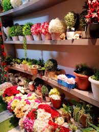 Cheap artificial flowers shop near me. This Flower Store Houses A Stunning Collection Of Artificial Flowers Lbb