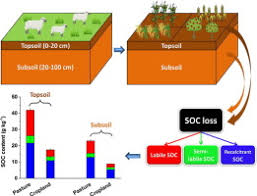 Two major factors, which curtail the duration of hydrated storage of recalcitrant seeds and ultimately kill them, are germination without provision of additional water and fungal proliferation. Land Use Impacts On Profile Distribution Of Labile And Recalcitrant Carbon In The Ili River Valley Northwest China Sciencedirect