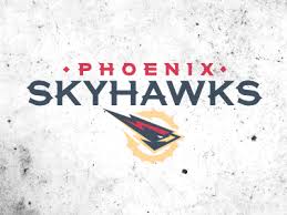 dribbble skyhawks by cj zilligen sports logo emblems logos
