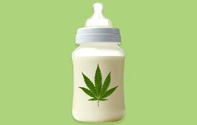 Smoking Marijuana While Breastfeeding What Experts Recommend