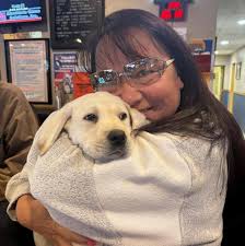 Hola wondering if anyone knows a local dentist that does dental implants