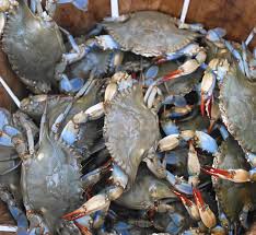 Nandu is the common name in many european languages. Neela Nandu Blue Crab Buy Neela Nandu Crab Black Pomfret In Chennai