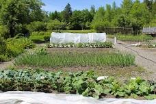 Season Extension for Home Gardeners