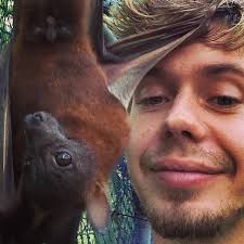 Having fun with a #LittleRedFlyingFox #pteropusscapulatus