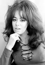 I crossed a sheep with a porcupine. Wha'd ya get? A critter that knits its  own sweaters!