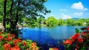 Nature backgrounds are among the most popular background images in the digital world. Free Download Beautiful Nature Wallpaper Full Desktop Backgrounds 1920x1280 For Your Desktop Mobile Tablet Explore 77 Beautiful Nature Background Wallpaper Of Nature Beauty