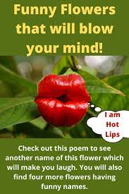 Unique Life Of 5 Weirdly Named Flowers Flower Names Weird Names Flowers