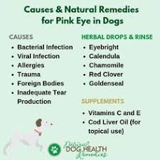 Your veterinary questions answered online in minutes. Pin On Dog Lovers Hub