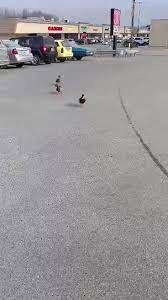 The typical home value of homes in palmer is $279,483. Flowers By Louise Inc Home Facebook