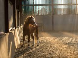 Check spelling or type a new query. Horse Barn Pictures Download Free Images On Unsplash